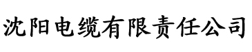 秋霞电影院在线视频电缆厂logo